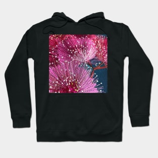 Shades of Pink Native Floral Design by Leah Gay Hoodie